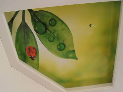 НАТЯЖНЫЕ ПОТОЛКИ , фотография 3