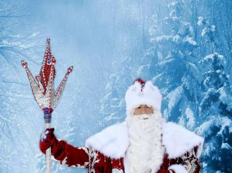 Дед Мороз и Снегурочка, фотография 1