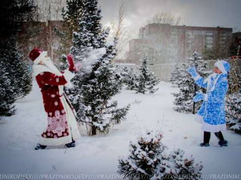 Дед Мороз и Снегурочка придут к вам домой, фотография 1