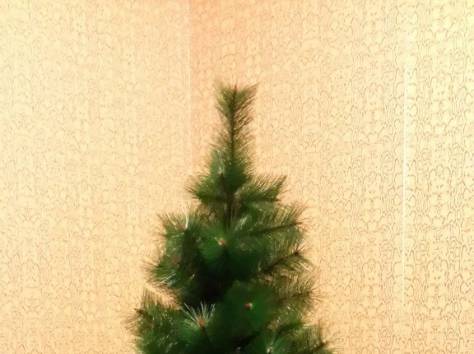 Новогодние Елки со скидкой 50%, фотография 2