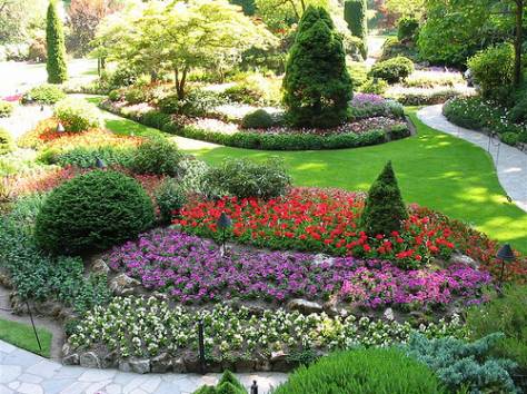 Озеленение, Благоустройства, Садоводства , фотография 2