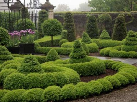 Озеленение, Благоустройства, Садоводства , фотография 3