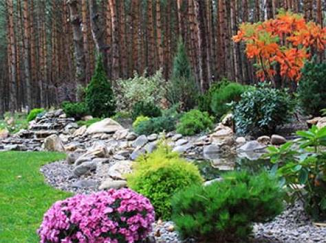 Озеленение, Благоустройства, Садоводства , фотография 4