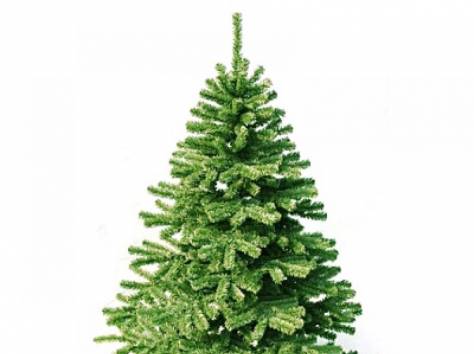 Озеленение, Благоустройства, Садоводства , фотография 7