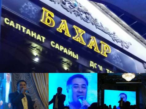 Музыканты.Тамада.Певцы-Певицы.Аппаратура.Свет-лазер-ферма-дым машина, фотография 5