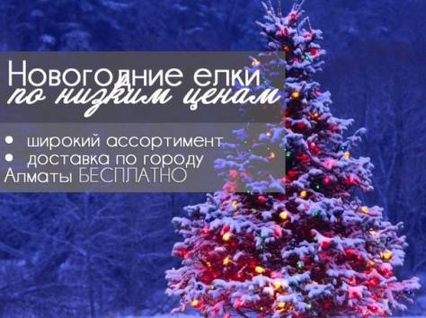 Новогодние Елки, фотография 1
