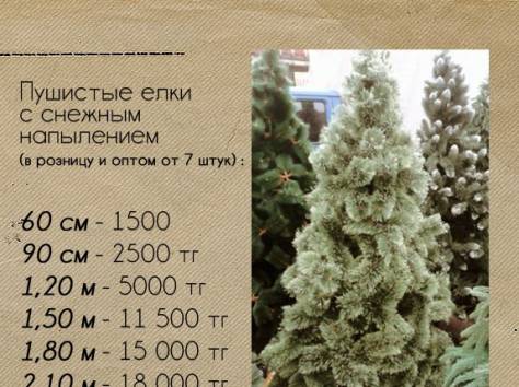 Новогодние Елки, фотография 3