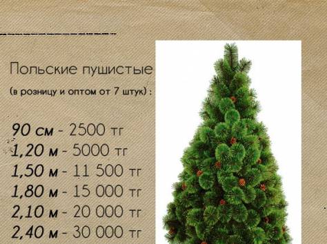 Новогодние Елки, фотография 5