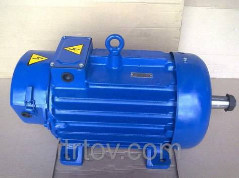 ЭЛЕКТРОДВИГАТЕЛЬ КРАНОВЫЙ С ФАЗНЫМ РОТОРОМ 5MTH 111-6, фотография 1