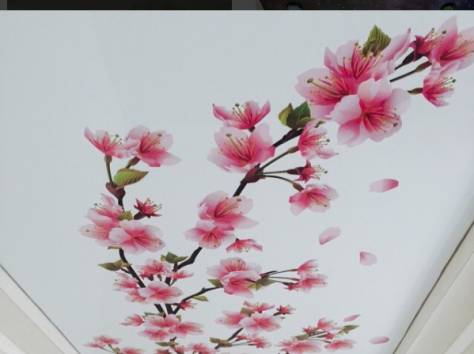 Натяжные потолки в Алматы, фотография 1