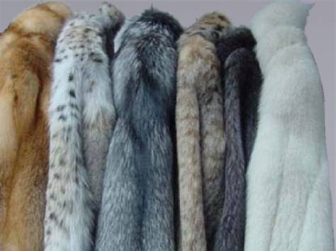 Комиссионый Show Room, фотография 1