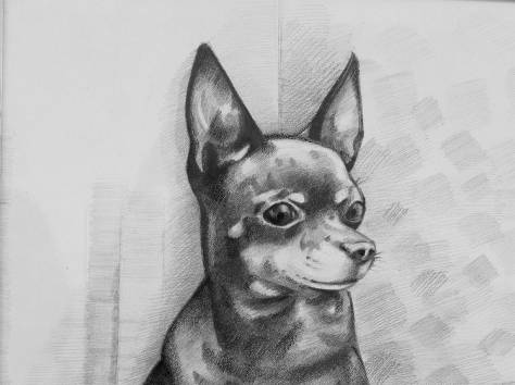 Портрет карандашом, фотография 4