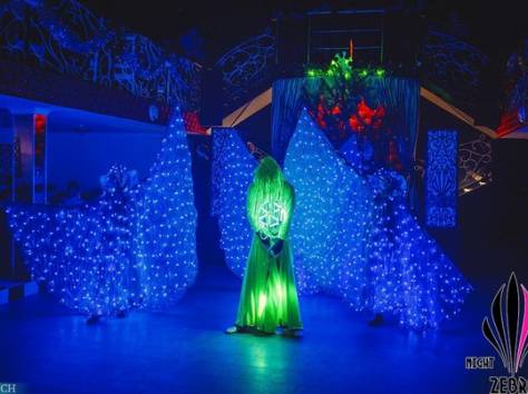 Неоновое шоу, фотография 1