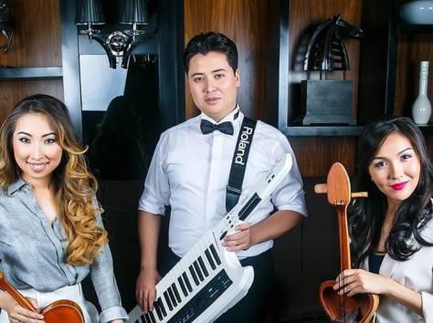 Вокально инструментальные ансамбли, фотография 3