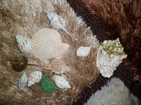 продаётся аквариум 30 литров, фотография 1