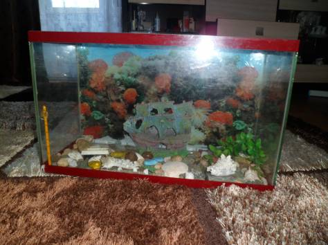 продаётся аквариум 30 литров, фотография 8