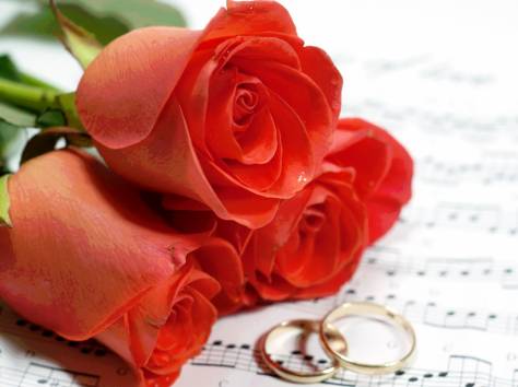 Видео-монтаж, слайд-шоу недорого, фотография 3