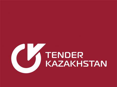 Услуги (ЭЦП) Госзакуп, Самрук Казына, фотография 1