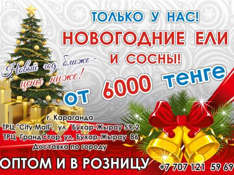 Новогодние ели и сосны, фотография 1