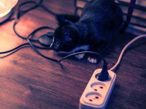 Срочно!! Отдам Черно-белого Котенка в добрые руки!!, фотография 3