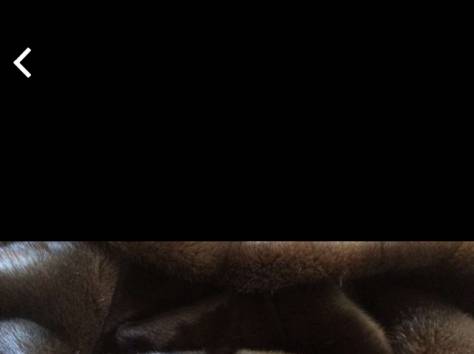 Норковая шуба, фотография 1