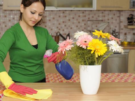 Домработница со знанием английского языка, фотография 3