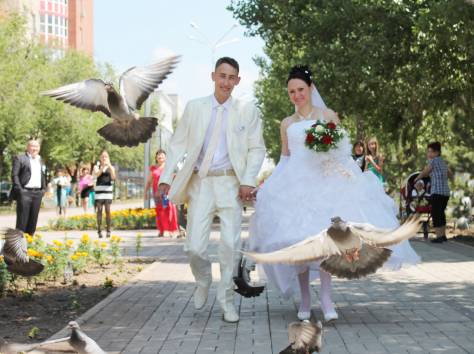 Видеосъемка / фотосъемка, фотография 1