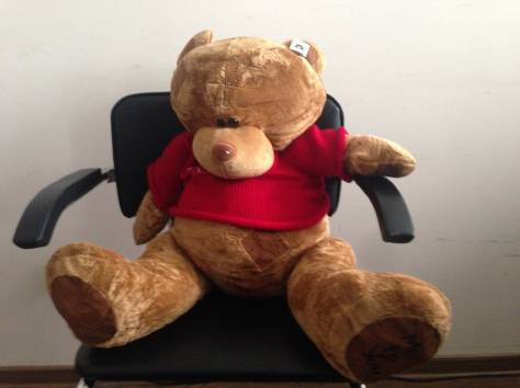 Плюшевые МИШКИ Teddy», фотография 2