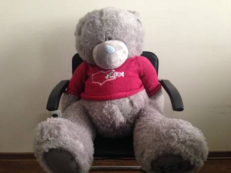 Плюшевые МИШКИ Teddy», фотография 5