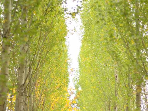 Фотограф в Астане, фотография 2