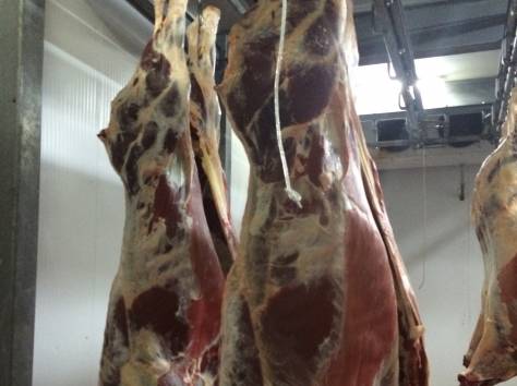 Мясо говядины высокого качества , фотография 1