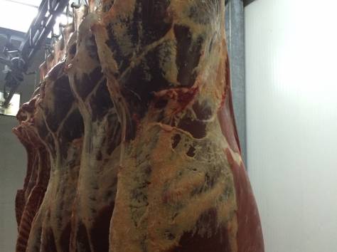 Мясо говядины высокого качества , фотография 2