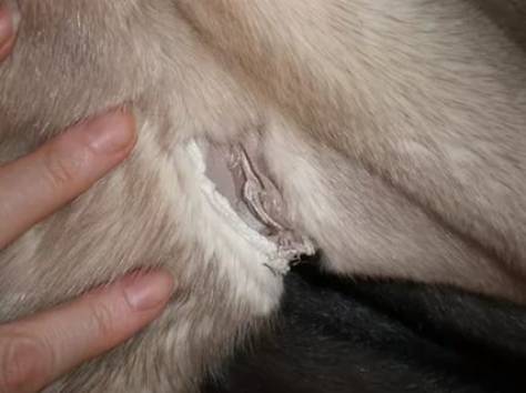 реставрация одежды, фотография 2