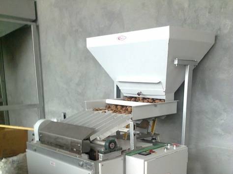  Аппарат для чистки грецкого ореха, фотография 1