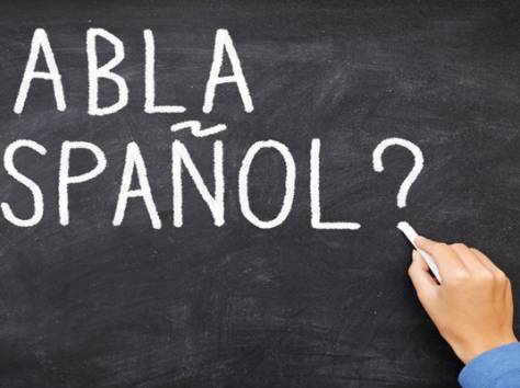 Корпоративное обучение ИСПАНСКОГО языка от Open Door!, фотография 1