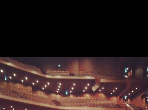 Профессиональный скрипач, фотография 1