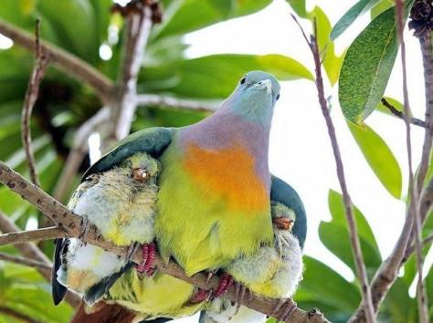 pаботa mолькo ONLINE,   без продаж, фотография 3