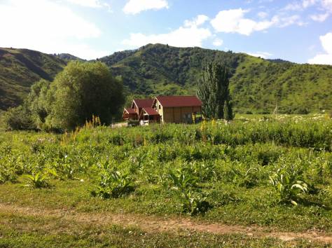 Сдам коттедж посуточно, Горный садовод, фотография 8