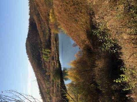 Сдам коттедж посуточно, Горный садовод, фотография 9