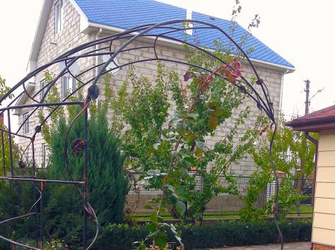 Кованый экстерьер, фотография 10