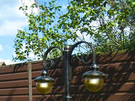 Кованый экстерьер, фотография 12