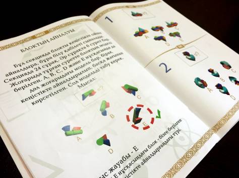 Сборник Тестов для подготовки в Назарбаев Интеллектуальные Школы, фотография 2