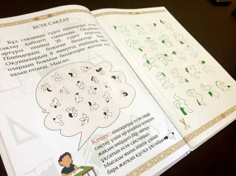 Сборник Тестов для подготовки в Назарбаев Интеллектуальные Школы, фотография 5