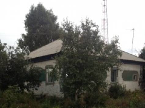 Продам дом в живописном месте Алтайского края, фотография 6