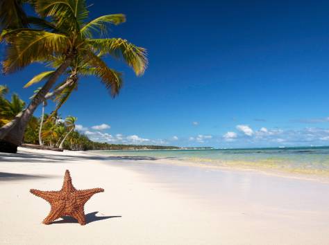 Горящие туры! Раннее бронирование!, фотография 3