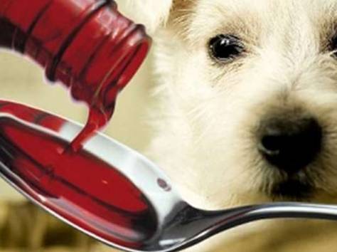 ТОО Pharmaline, фотография 4