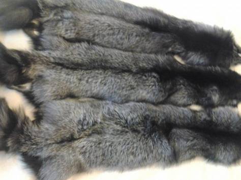 Шкурки чернобурки от 4000 руб, фотография 1