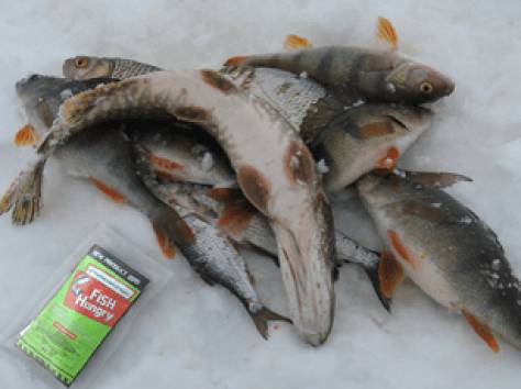 Активатор клёва Fish Hungry, фотография 7