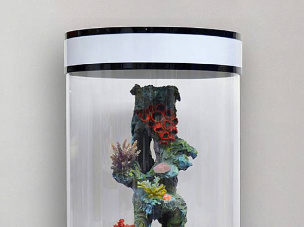 Невероятно красивый цилиндрический аквариум 150л, фотография 4