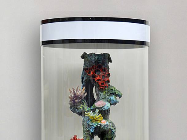 Невероятно красивый цилиндрический аквариум 150л, фотография 5